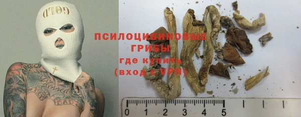 apvp Лихославль
